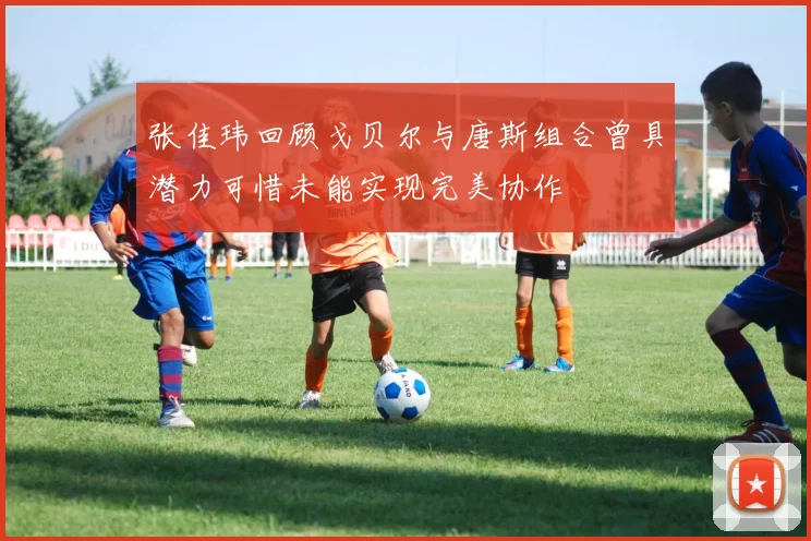 张佳玮回顾戈贝尔与唐斯组合曾具潜力可惜未能实现完美协作