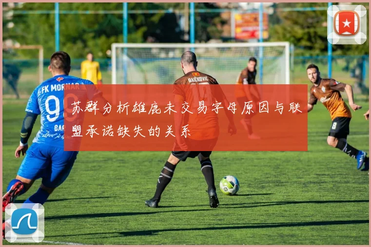 苏群分析雄鹿未交易字母原因与联盟承诺缺失的关系